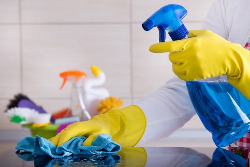 Noted service issue details for a carpet cleaning complaint review
