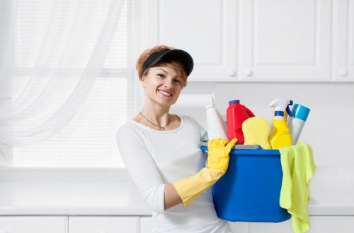 Support request for accessibility assistance on a cleaning services website
