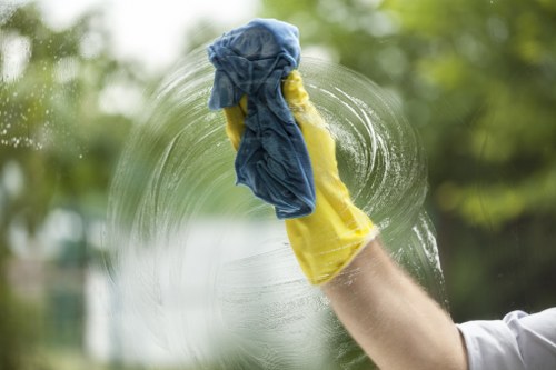 Deep cleaning upholstery affected by pet odour in West Drayton