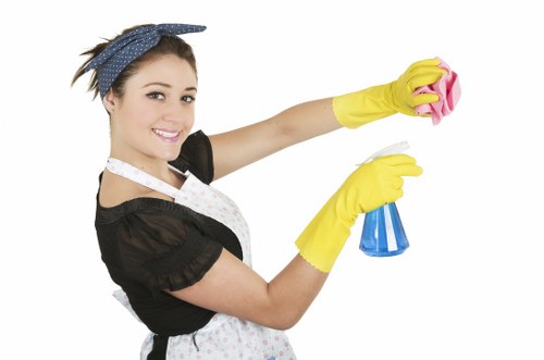 Final terms and conditions section for carpet cleaning services