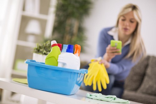 Deep mattress cleaning service removing stains and dust in West Drayton
