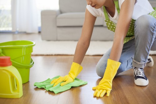 Professional hot water extraction cleaning a carpet in West Drayton