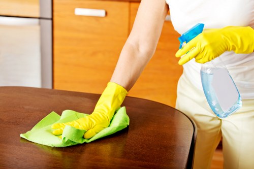 Fabric and upholstery stain removal service