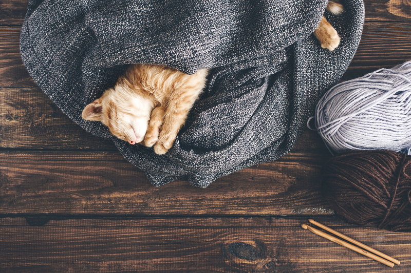 regular cleaning Clean